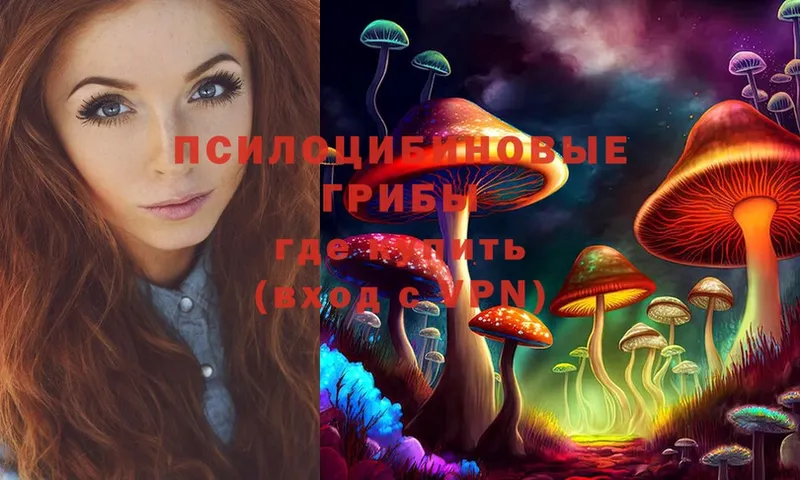 Галлюциногенные грибы Magic Shrooms  даркнет сайт  Микунь 